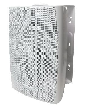 Настенный 2-х полосный громкоговоритель мониторного типа. Мощность 20 Вт/100В&nbsp;&nbsp;Режимы подключения 20 Вт -10Вт -5Вт -2,5Вт - 8 Ом, 150x220х135 мм, Вес 2,2кг, цвет - белый.