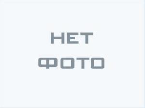 Стойка фотоэлемента 0,5м для R90/E15.
