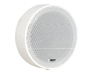 Потолочный громкоговоритель, накладной. 10/5 Вт, 100В, 100 - 18000 Гц. 93 дБ/Вт/м. Цвет белый. Корус пластик. Вес 1,4 кг