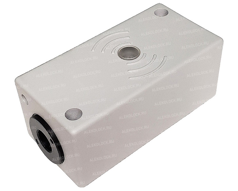 Считыватель холодостойкий. EM-Marin, HID, Indala. Интерфейс:&nbsp;&nbsp;Touch Memory,&nbsp;&nbsp;Wiegand 26/34/37/40/42/авто.&nbsp;&nbsp;DC 12 В; 80 мА (нагревательный элемент DC 12В;&nbsp;&nbsp;400мА).&nbsp;&nbsp;IP67.&nbsp;&nbsp;-60...+40°С.&nbsp;&nbsp;103х52х42 мм. Исполнение:&nbsp;&nbsp;с кабелем для скрытой прокладки через стену,&nbsp;&nbsp;климатическое исполнение ХЛ1.